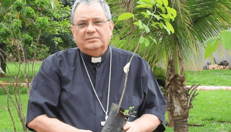 EM VÍDEO, SECRETÁRIO-GERAL DA CNBB MOTIVA OS CATÓLICOS A MANIFESTAR A FÉ E HOMENAGEAR A VIDA NO DIA DE FINADOS