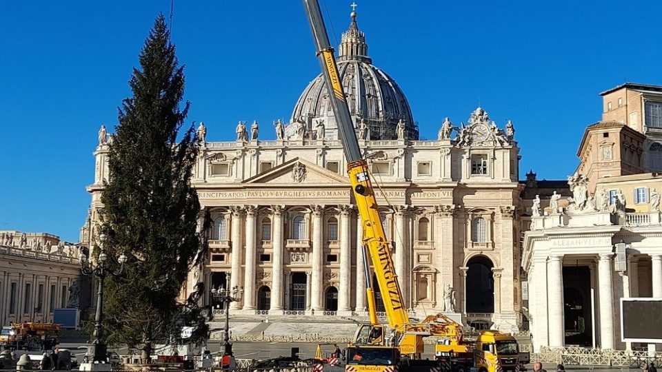 Vaticano inaugura árvore de Natal e presépio na Praça São Pedro