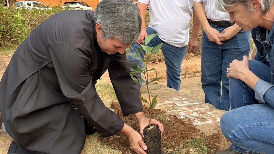 Vicariatos participam da Semana de Francisco com plantio de árvores